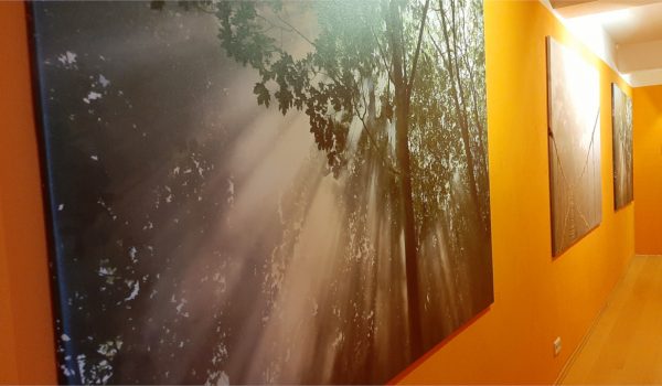 Flur des Wandelplatzes